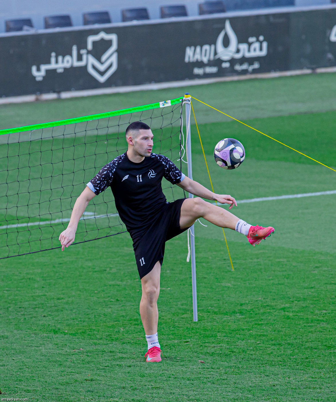 الليوث تعود