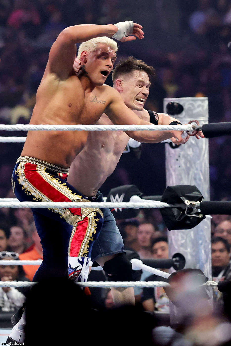 سينا.. الرقم القياسي